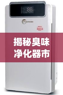揭秘臭味净化器市场，排名前十的品牌榜单！
