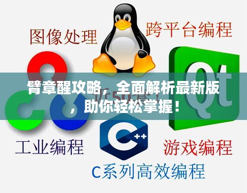 臂章醒攻略，全面解析最新版，助你轻松掌握！