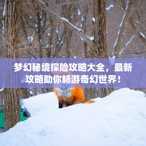 梦幻秘境探险攻略大全，最新攻略助你畅游奇幻世界！
