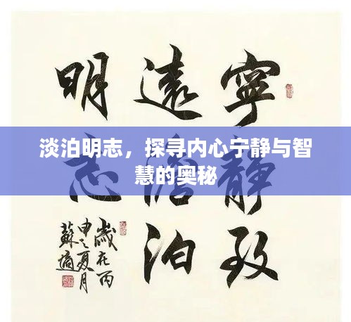淡泊明志，探寻内心宁静与智慧的奥秘