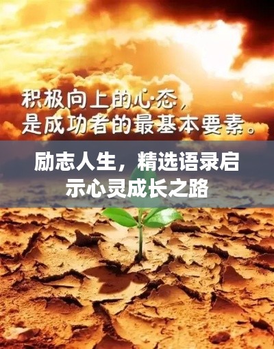 励志人生，精选语录启示心灵成长之路