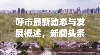 呼市最新动态与发展概述，新闻头条带你速览呼和浩特市新鲜事