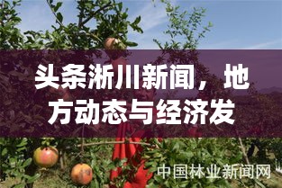 头条淅川新闻，地方动态与经济发展交汇点的深度报道