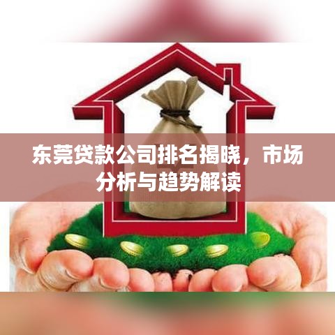 东莞贷款公司排名揭晓，市场分析与趋势解读