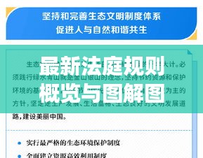 最新法庭规则概览与图解图片展示