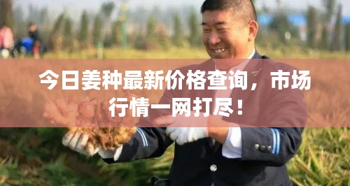 今日姜种最新价格查询，市场行情一网打尽！
