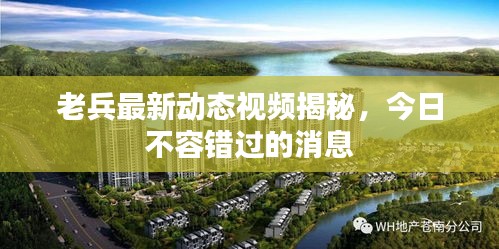 老兵最新动态视频揭秘，今日不容错过的消息