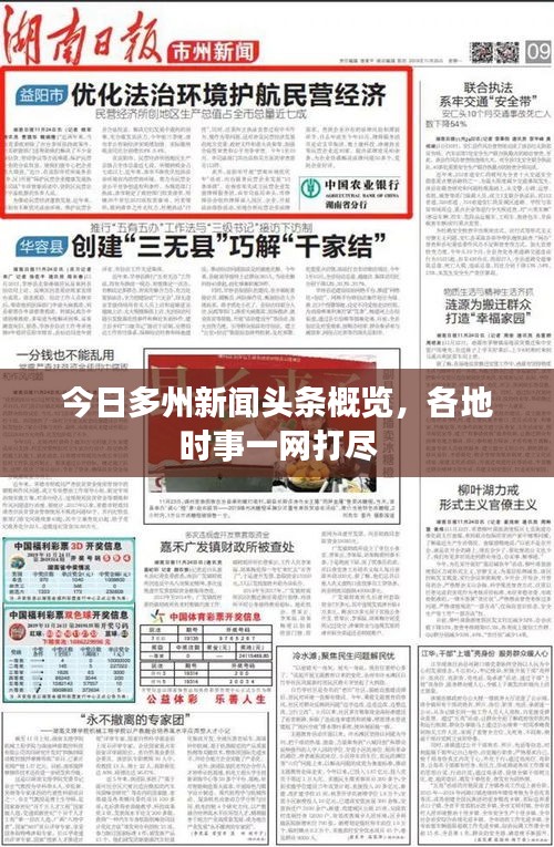 今日多州新闻头条概览，各地时事一网打尽