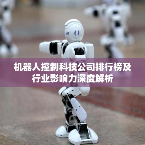 机器人控制科技公司排行榜及行业影响力深度解析