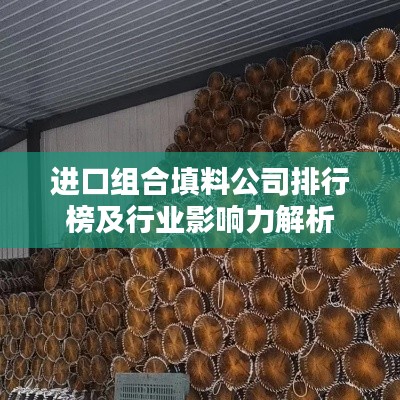 进口组合填料公司排行榜及行业影响力解析