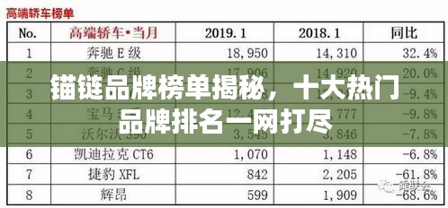 锚链品牌榜单揭秘，十大热门品牌排名一网打尽