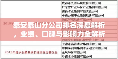 泰安泰山分公司排名深度解析，业绩、口碑与影响力全解析
