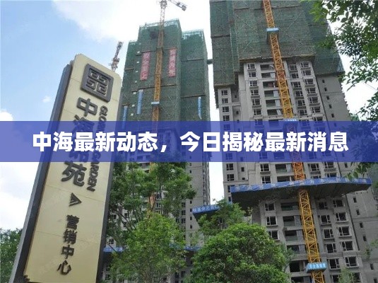 中海最新动态，今日揭秘最新消息