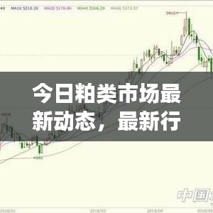 今日粕类市场最新动态，最新行情消息一网打尽