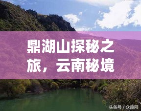 候鸟南飞 第2页