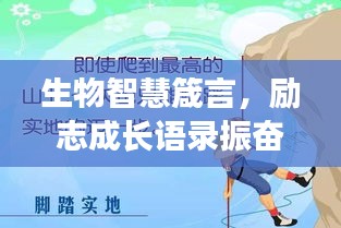 小鸟依人 第2页