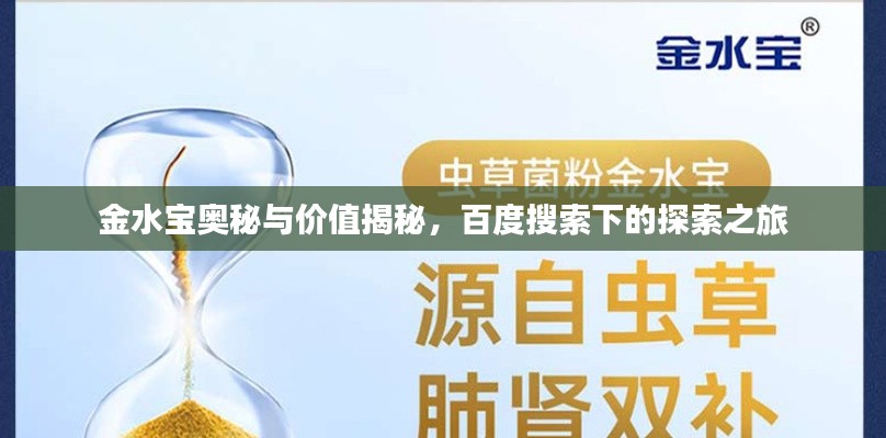 金水宝奥秘与价值揭秘，百度搜索下的探索之旅