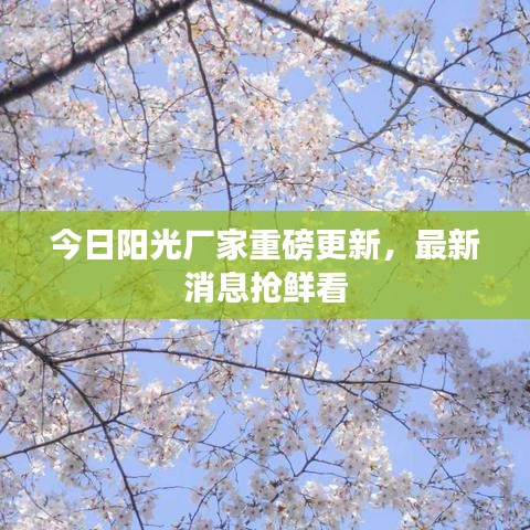 今日阳光厂家重磅更新，最新消息抢鲜看