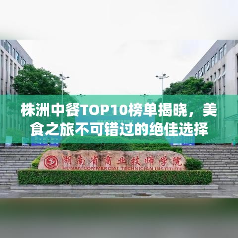 株洲中餐TOP10榜单揭晓，美食之旅不可错过的绝佳选择