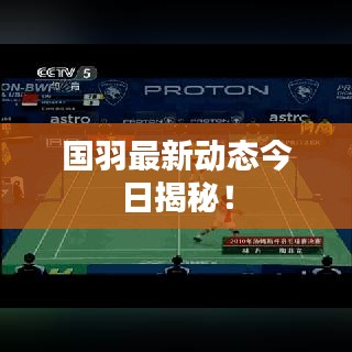 国羽最新动态今日揭秘！