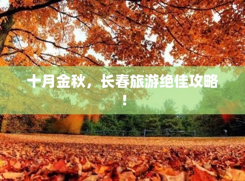 十月金秋，长春旅游绝佳攻略！
