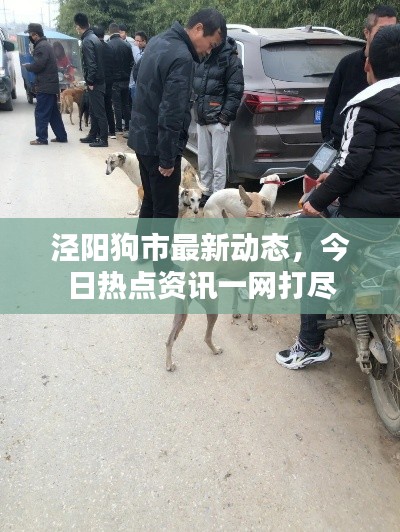 尘土飞扬 第2页