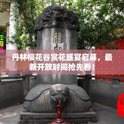 丹林樱花谷赏花盛宴启幕，最新开放时间抢先看！