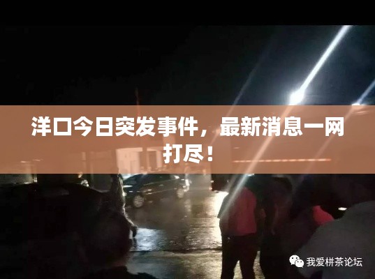 洋口今日突发事件，最新消息一网打尽！