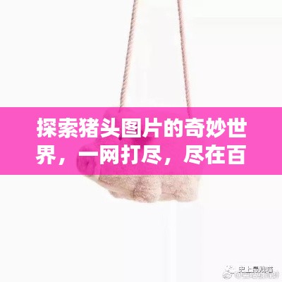 探索猪头图片的奇妙世界，一网打尽，尽在百度图片搜索！