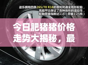 今日肥猪猪价格走势大揭秘，最新动态一网打尽