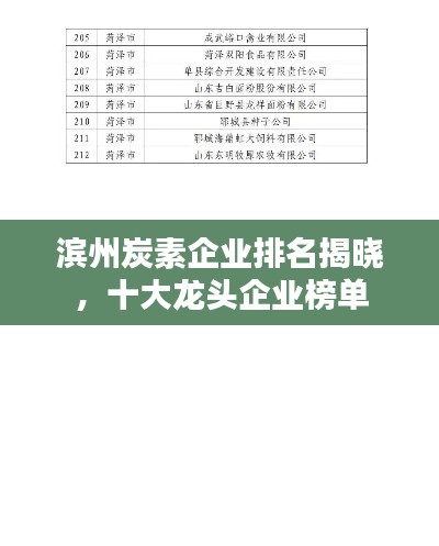滨州炭素企业排名揭晓，十大龙头企业榜单