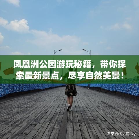 凤凰洲公园游玩秘籍，带你探索最新景点，尽享自然美景！