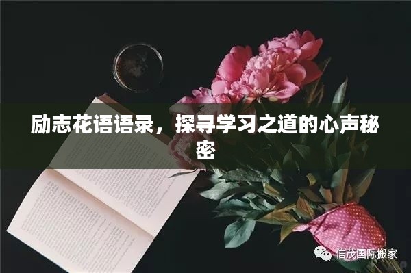 励志花语语录，探寻学习之道的心声秘密