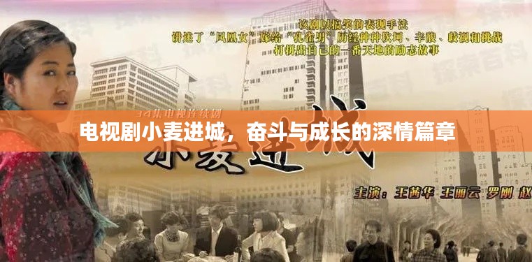 电视剧小麦进城，奋斗与成长的深情篇章