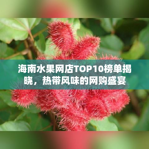 海南水果网店TOP10榜单揭晓，热带风味的网购盛宴