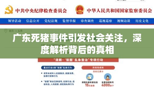 广东死猪事件引发社会关注，深度解析背后的真相