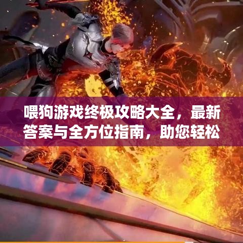喂狗游戏终极攻略大全，最新答案与全方位指南，助您轻松成为游戏大师！