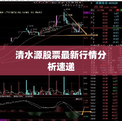 清水源股票最新行情分析速递