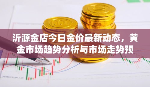 沂源金店今日金价最新动态，黄金市场趋势分析与市场走势预测