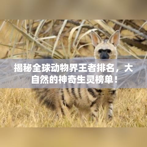 揭秘全球动物界王者排名，大自然的神奇生灵榜单！