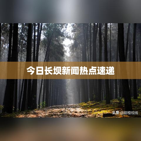 今日长坝新闻热点速递