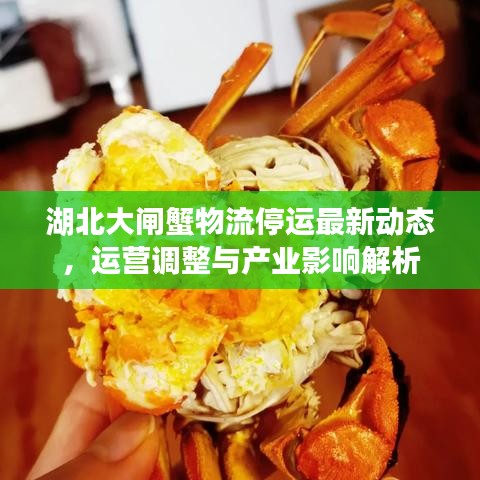 心得分享 第49页