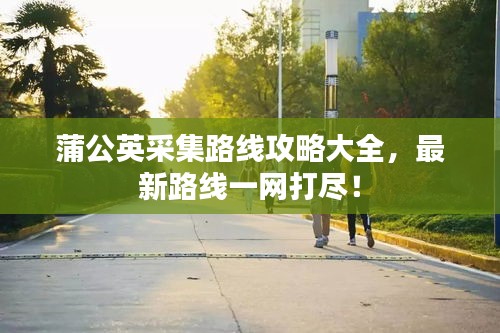雅人韵士