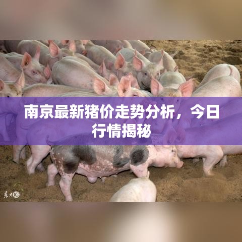 宵衣旰食