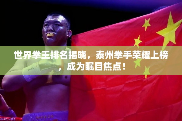 世界拳王排名揭晓，泰州拳手荣耀上榜，成为瞩目焦点！