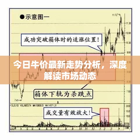 今日牛价最新走势分析，深度解读市场动态