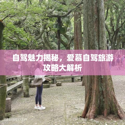 自驾魅力揭秘，爱慕自驾旅游攻略大解析
