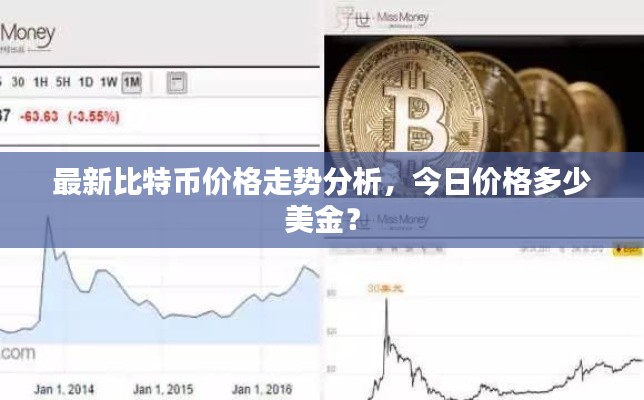 最新比特币价格走势分析，今日价格多少美金？