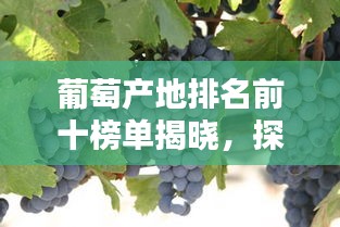 葡萄产地排名前十榜单揭晓，探寻顶级葡萄盛产地