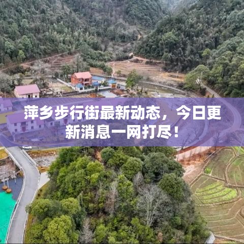萍乡步行街最新动态，今日更新消息一网打尽！